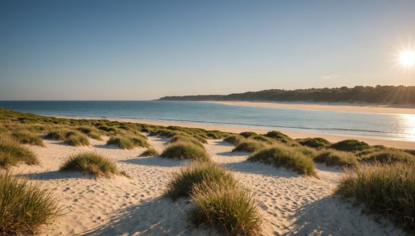 Visiter saint-jean-de-monts : plages et promenades océaniques